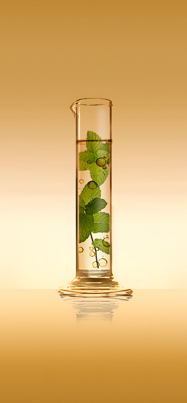 Game play screen with 7 aligned beakers containing plant ingredients inside